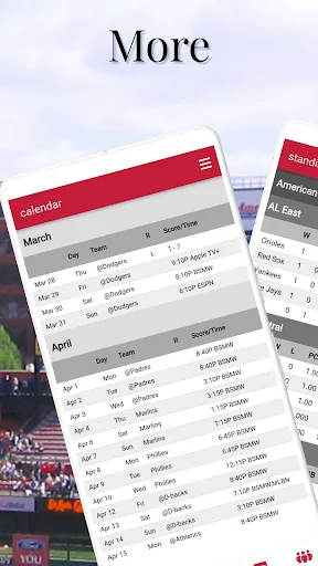 St. Louis Baseball screenshot 3