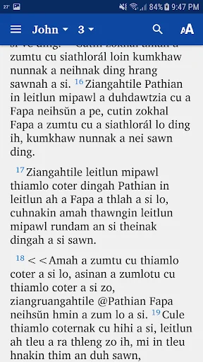 Chin Standard Bible
