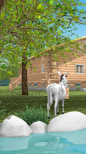 Escape Game: Log House