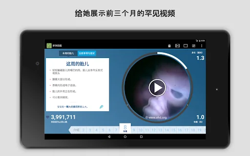 怀孕历程