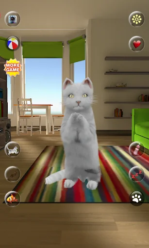 Talking Cute Cat screenshot 3