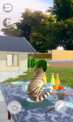 Talking Cat Funny screenshot 2
