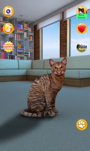 Talking Somali Cat