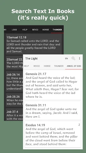 KJV Bible Multi Languages screenshot 1