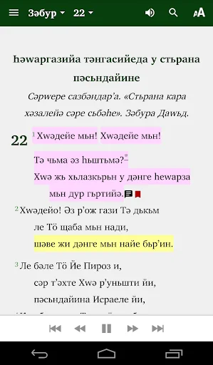 Ньвисаред Пироз