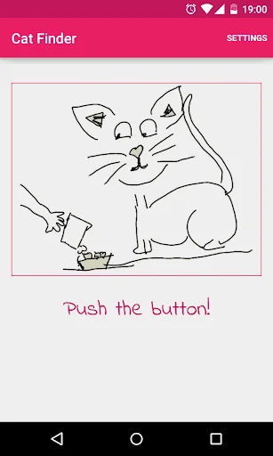 Cat Finder