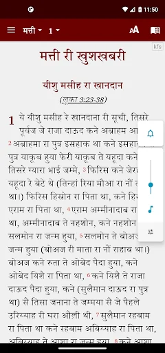 Bilaspuri Bible