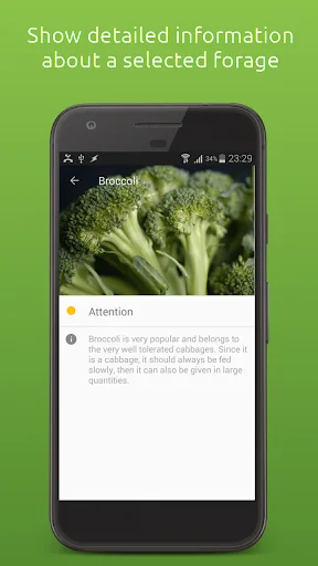 My Rabbit Feeding Guide screenshot 2