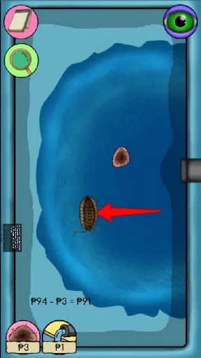 Inconnu - Bioindicator Insect 