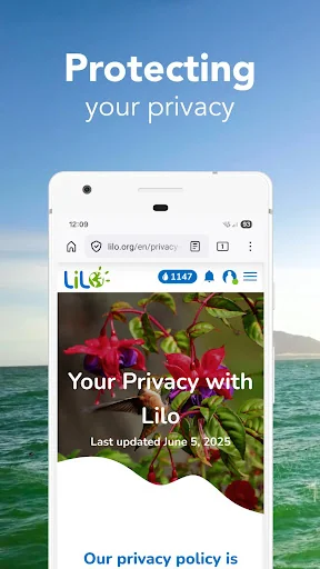 Lilo - Search with substance screenshot 4