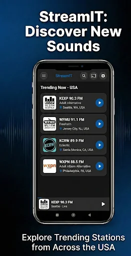 StreamIT - FM AM Global Radios screenshot 3