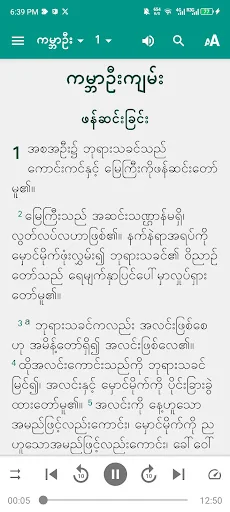 Myanmar Bible
