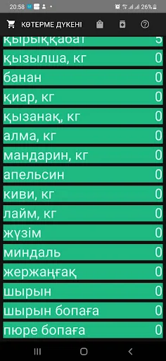 Shopping List - Tizim