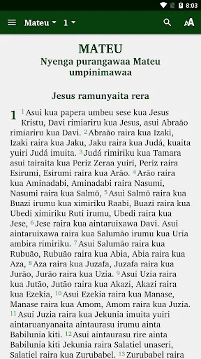 Nyengatu New Testament