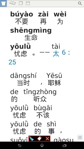 Pinyin Web & EPUB