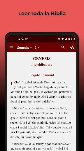 Chol Tumbalá Bible