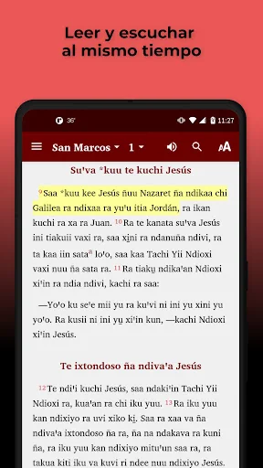 Mixtec Metlatónoc Bible