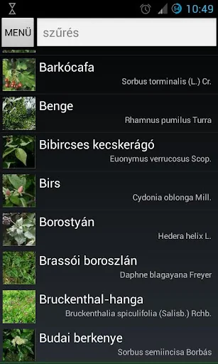 Terra Fa-lexikon és határozó