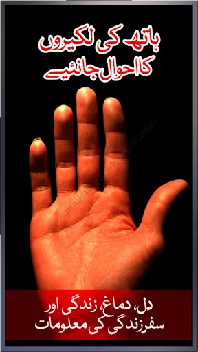 Palmistry