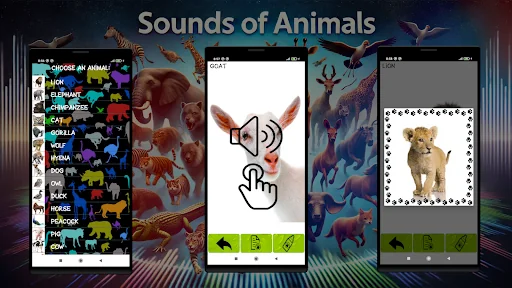 Sounds of Animals