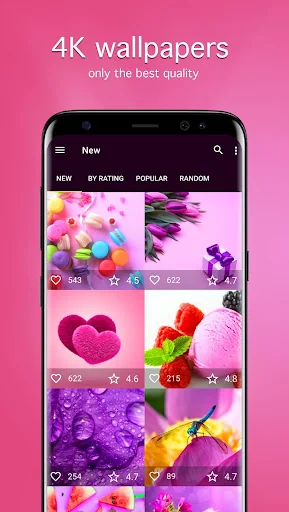 Pink Wallpapers 4K
