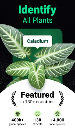 Plantum - Plant Identifier