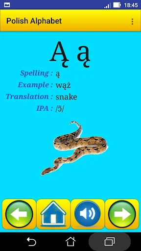 Polish alphabet for students screenshot 3