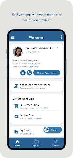 Swedish Health Connect
