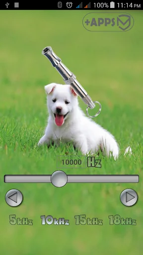 Dog Whistle