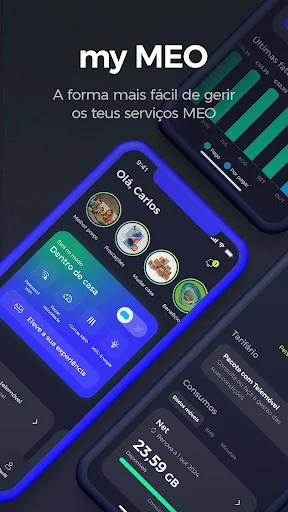 my MEO screenshot 1
