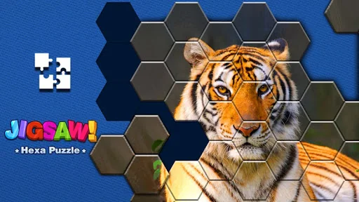 Jigsaw Puzzle -Hexa Block Game
