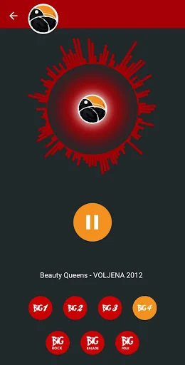 Big Radio Banja Luka screenshot 4