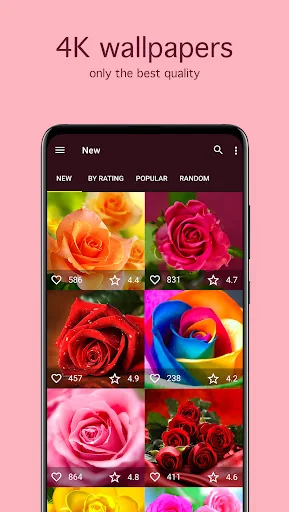 Rose Wallpapers 4K screenshot 2