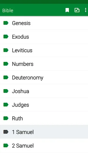 RSV Bible screenshot 3