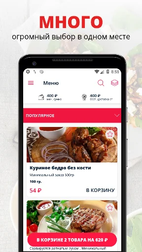 Сармат | Новороссийск