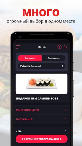 FishKa Roll | Russia