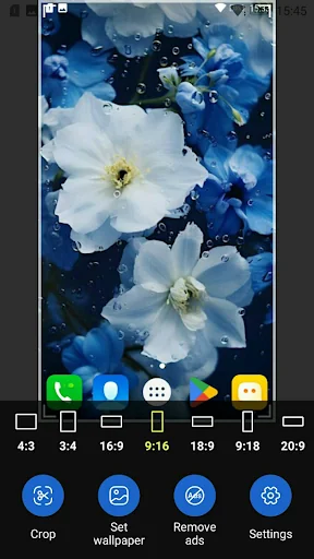 Image to Wallpaper screenshot 3