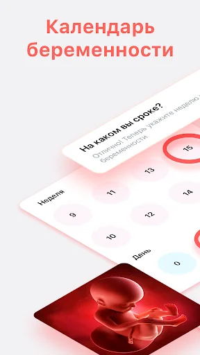 Pregnancy Tracker week by week