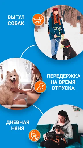 Собака-гуляка - Выгулы собак и