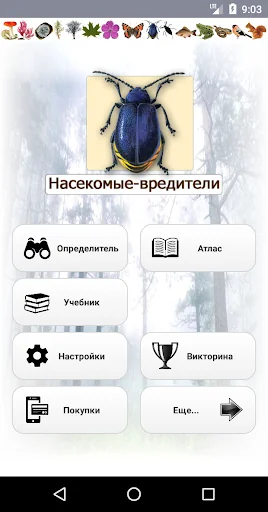 EcoGuide: Forest Insect Pests