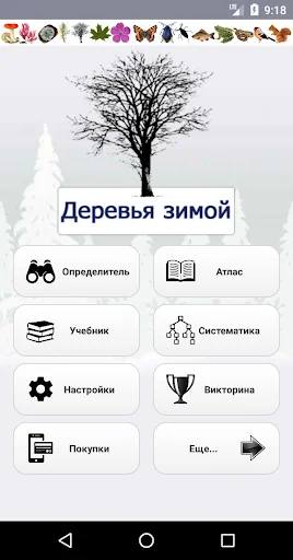 EcoGuide: Trees in Winter