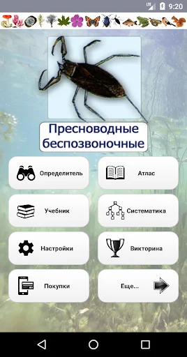 EcoGuide: Water Invertebrates