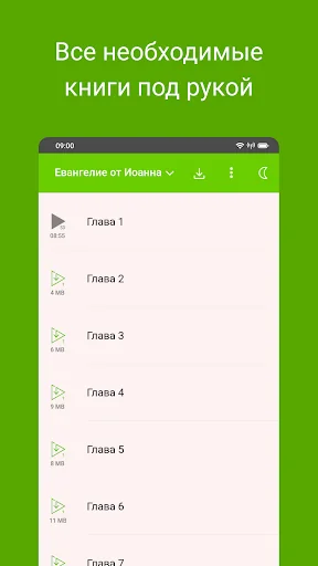 Евангелие от Иоанна: Библия screenshot 3