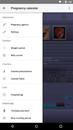 Pregnancy Calendar screenshot 4
