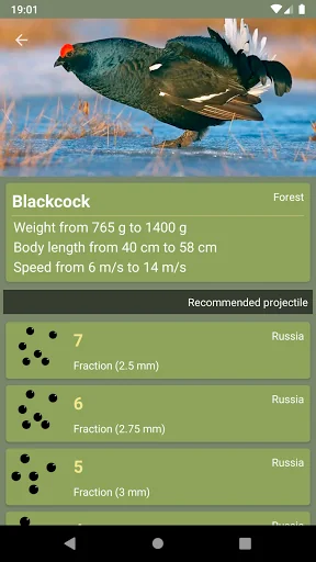 Hunter's guide "Bandolier" screenshot 3