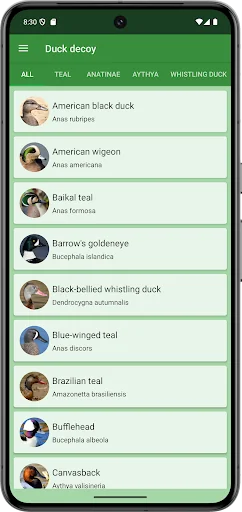 Progressive Duck Decoy screenshot 2