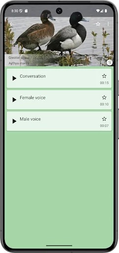 Progressive Duck Decoy screenshot 3