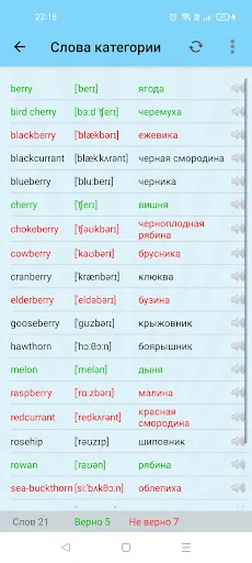 Запоминалка английских слов screenshot 4