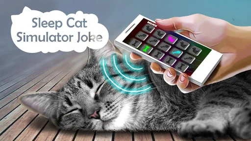 Sleep Cat Simulator Joke