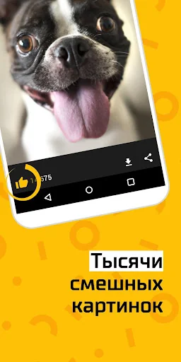 АйДаПрикол screenshot 2
